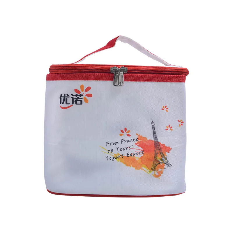 Cooler Bag