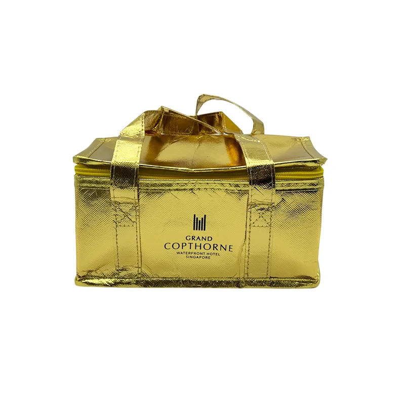 Cooler Bag