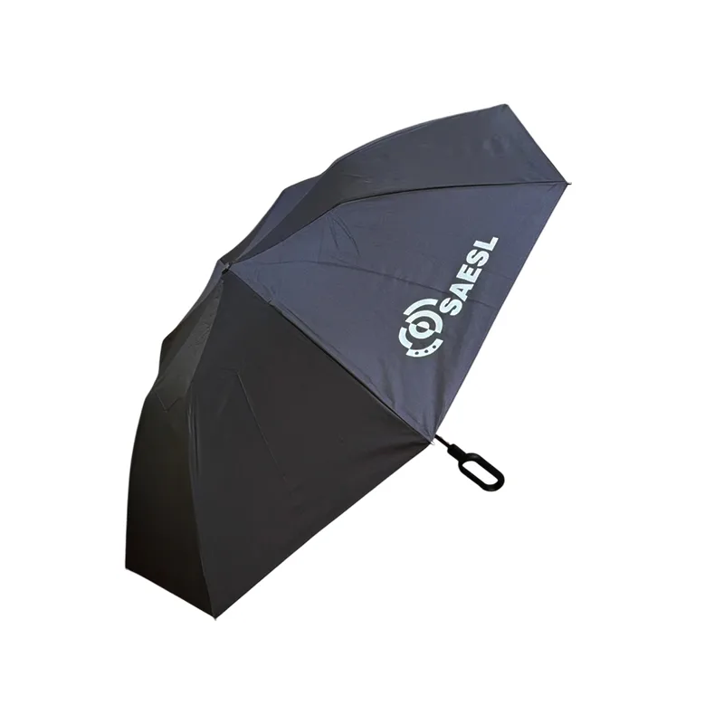 Foldable Umbrella with Carabiner Handle